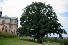 DSE_0222_3047