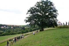 DSE_0291_3063