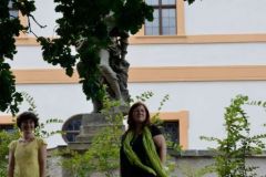 DSE_0302_3066