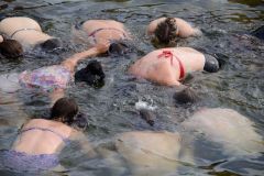 DSE_0403_2755