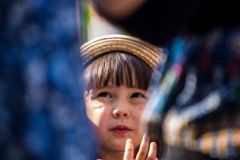 MG_8534